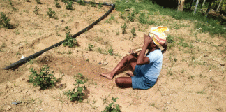 ಕೈಕೊಟ್ಟ ಮುಂಗಾರು : ಸಂಕಷ್ಟದಲ್ಲಿ ತಾಲ್ಲೂಕಿನ ರೈತ
