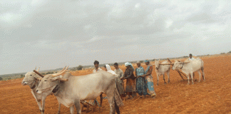 ಕ್ಷೀಣಿಸಿದ ಮುಂಗಾರು :ಆತಂಕದಲ್ಲಿ ರೈತ ಸಮುದಾಯ