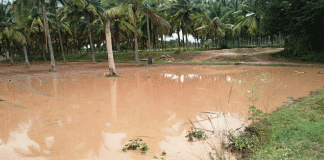 ತಿಪಟೂರು ತಾಲ್ಲೂಕಿನಲ್ಲಿ ವ್ಯಾಪಕ ಮಳೆ…!!!