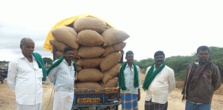 ಅಕ್ರಮವಾಗಿ ಸಾಗಿಸುತ್ತಿದ್ದ ಶೇಂಗಾ ವಶ..!!