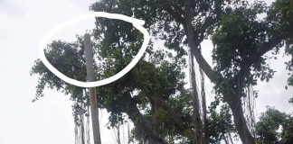 ಚಿಕ್ಕಬಿದರೆ : ಬಸ್ ನಿಲ್ದಾಣದ ವಿದ್ಯುತ್ ಕಂಬದ ದೀಪ ಅಳವಡಿಸಿ