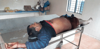 ಕರಡಿಗಳನ್ನು ಕೆಣಕುವುದು ಬೇಡ : ಅರಣ್ಯಾಧಿಕಾರಿ