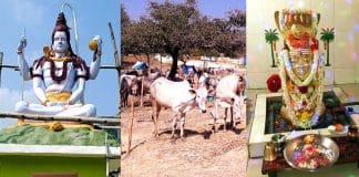 ಕೊರೋನಾ : ಕಳೆಗುಂದಿದ ದನಗಳ ಜಾತ್ರೆ