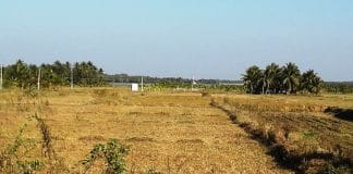 ಕೆರೆಗಳು ತುಂಬಿದ್ದರೂ ಅಚ್ಚುಕಟ್ಟು ಪ್ರದೇಶಕ್ಕೆ ನೀರಿಲ್ಲ…!