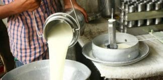 ಹೈನೋದ್ಯಮದತ್ತ ಆಕರ್ಷಣೆ: ಅಧಿಕ ಹಾಲು ಉತ್ಪಾದನೆ