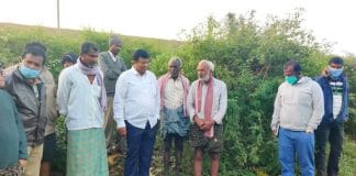 ಕಳ್ಳಂಬೆಳ್ಳ ಕೆರೆ ಏರಿಯಲ್ಲಿ ಮಂಗೆ