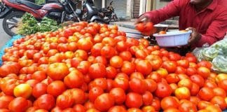 ಇಳಿಕೆಯತ್ತ ಸೊಪ್ಪು-ತರಕಾರಿ ಬೆಲೆಗಳು