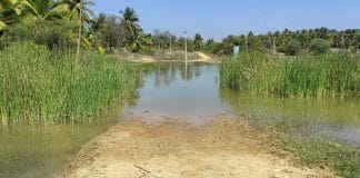 ಕಿಡುಕನಹಳ್ಳಿ ರಸ್ತೆ ಜಲಾವೃತವಾದರೂ ಸ್ಪಂದಿಸುವವರಿಲ್ಲ