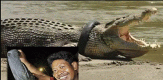 6 ವರ್ಷದ ಬಳಿಕ ಟೈರ್ನಿಂದ ಮೊಸಳೆಗೆ ಬಿಡುಗಡೆ! ಸರ್ಕಾರದಿಂದ ಆಗದ ಕೆಲ್ಸವನ್ನು ಈತನೊಬ್ಬನೇ ಸಾಧಿಸಿದ್ಹೇಗೆ?