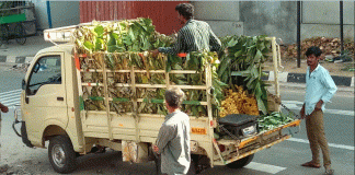 ಬಾಳೆಹಣ್ಣಿನ ದರ ತೀವ್ರ ಕುಸಿತ