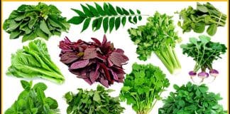 ಬಿಸಿಲ ಧಗೆ : ಸೊಪ್ಪು ಖರೀದಿಗೆ ಗ್ರಾಹಕನ ಒಲವು