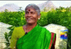ರೇಷ್ಮೆ ಬೆಳೆ; ರಾಜ್ಯದಲ್ಲೇ ಪ್ರಥಮ ಸ್ಥಾನ ಪಡೆದ ಮಹಿಳೆ