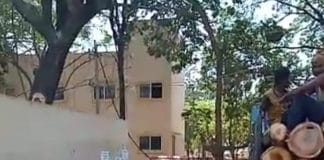 ಆದರ್ಶ ನಗರ, ಹನುಮಂತಪುರ, ಕುವೆಂಪು ನಗರದ ಹಲವೆಡೆ 3 ದಿನಗಳಿಂದ ರಸ್ತೆ ಬದಿ ಮರಗಳ ಮಾರಣ ಹೋಮ