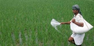 50 ಸಾವಿರ ಮೆಟ್ರಿಕ್ ಟನ್ ರಸಗೊಬ್ಬರ ಇದೆ , ಸಚಿವರ ಹೇಳಿಕೆ ಕೇಳಿ ದಂಗಾದ ರೈತರು, ಗೊಬ್ಬರ ದಾಸ್ತಾನು ಇದ್ದರೂ ಅಲೆದಾಟ ಏಕೆ ತಪ್ಪಿಲ್ಲ!