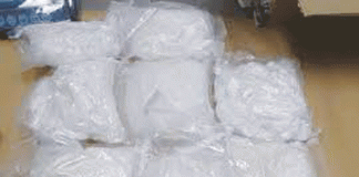 ಡ್ರಗ್ ಪೆಡ್ಲರ್ ಬಂಧನ, 70ಲಕ್ಷ ಬೆಲೆ ಬಾಳುವ ಮಾದಕ ವಸ್ತು ವಶ