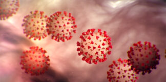 ದೇಶದಲ್ಲಿ ನಿನ್ನೆಗಿಂತಲೂ ಇಂದು ಹೆಚ್ಚು ಕೊರೊನಾ ಪ್ರಕರಣಗಳು ದಾಖಲು; 55 ಮಂದಿ ಸಾವು, ಸಕ್ರಿಯ ಕೇಸ್ಗಳು 19,719