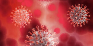 24 ಗಂಟೆಗಳಲ್ಲಿ 99 ಹೊಸ ಕೊರೋನಾ ಪ್ರಕರಣ..!