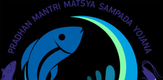 ಕೇಂದ್ರ ಹಾಗು ರಾಜ್ಯ ಸರ್ಕಾರಗಳಿಗೆ ತಲೆನೋವಾದ ಮತ್ಸ್ಯಸಂಪದ ಯೋಜನೆ