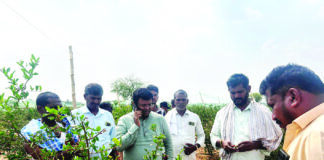 ಶಿರಾ ತಾಲೂಕಿನಲ್ಲಿ ಆಲಿಕಲ್ಲು ಮಳೆಯಿಂದ ರೈತರ ಬೆಳೆ ನಷ್ಟ